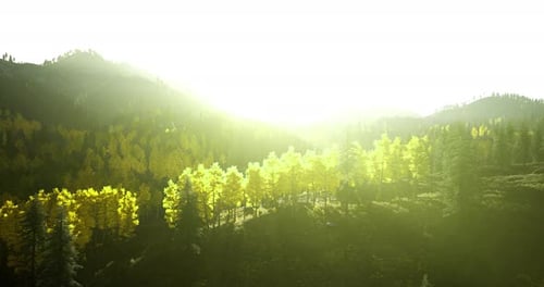 Sunshine Breaking Through Trees in a Verdant Mountain Landscape