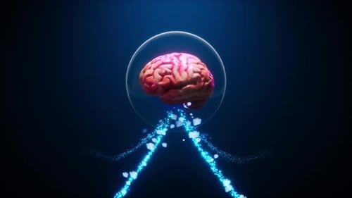 Das menschliche Gehirn analysiert digitale Big Data
