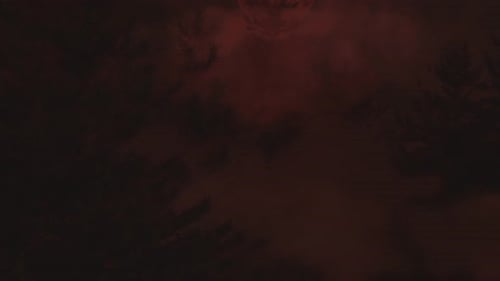 Tree Top Of Pine Trees In Front Of Big Red Moon And Fog