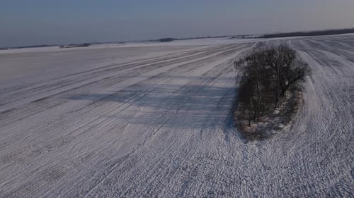 Snowy Winter Field with Bare Trees from Above