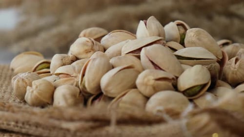 Pile of Delicious Pistachios on Burlap Sack