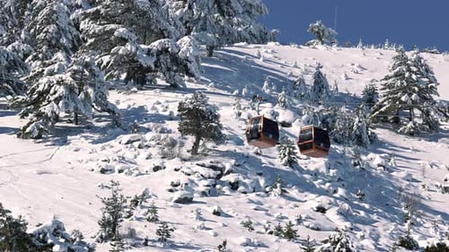 Ski Gondola Moving Through Snowy Forest on Mountain Slope