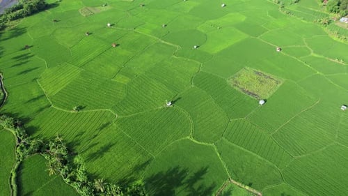 Agricultural Land