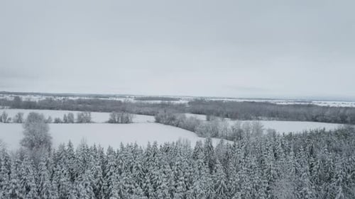 Blanket of fresh snow on trees and fields in winter seen from drone flying overhead. Heavy white sno
