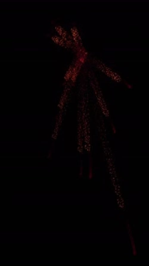 Fluid Particle Element Reveal Transition