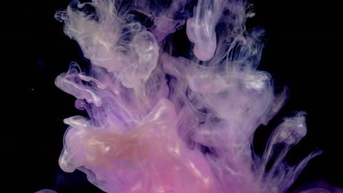 Pink and Purple Paint Swirls on Black Background