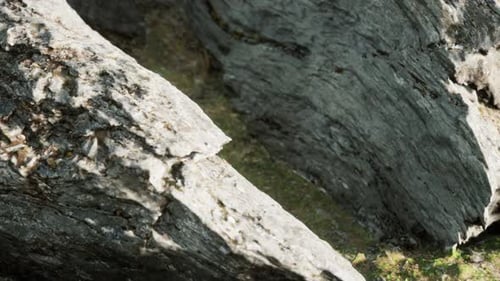Close Up of Rocky Stones Formation