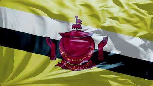 Brunei National Flag Waving Loop Background
