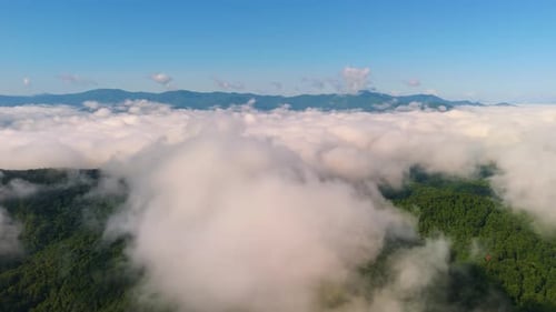Nature Landscape of Tennessee Appalachian Mountains Mountain Forest with Green Canopies in Summer