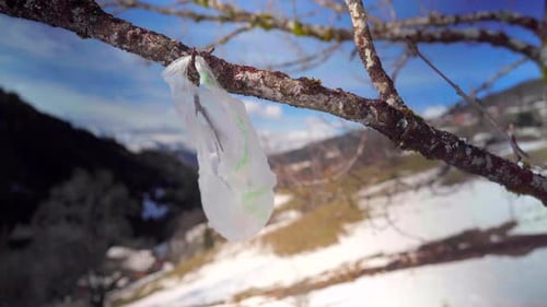Bolsa de plástico pegada en las ramas de un árbol, arrastrada por el viento, la basura y la basura en una estación de esquí en blanco