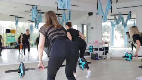 Active Women Squat with Dumbbells During a Workout in the Gym Group of Women Doing Sports