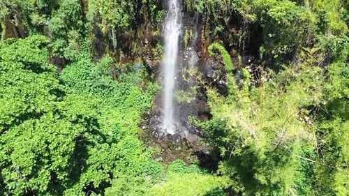 Close up shot of a tropical waterfall streaming out the lush green jungle AERIAL.