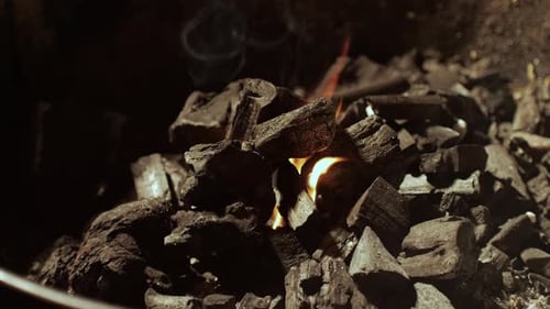 Details of Charcoal for Barbecue at Picnic