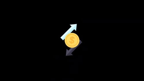 Animated Coins Icon Animation