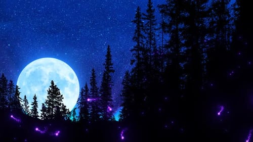 Moon Rise In The Forest With Fireflies Loop