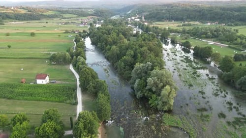 Wunderschöner grüner Fluss, umgeben von Wald