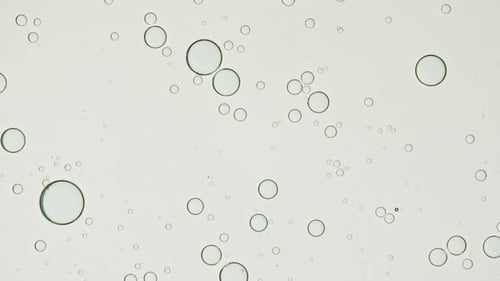 Makro-Aufnahme von verschiedenen Luftblasen Super Zeitlupe Beauty Glossy Feuchtigkeitsspendende Bubble Blobs High