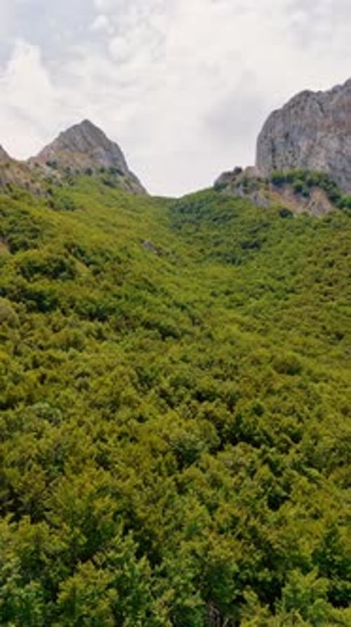 Flying over the lush greenery of the forest covering the rocks.