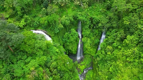 Fiji Waterfall - Bali.