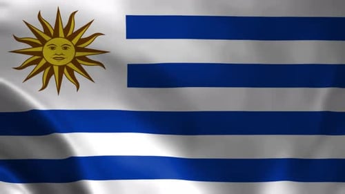 Realistic Waving Flag of Uruguay National Symbol