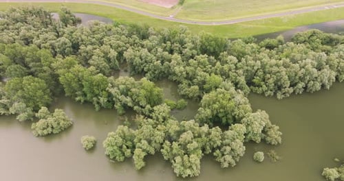 Vue aérienne de la forêt inondée et de la digue en période de crue, Pays-Bas.