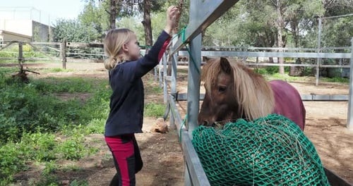 Girl Feeding Pony in a Rural Farm Setting