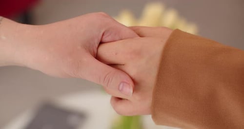 Women Shake Hands with Each Other