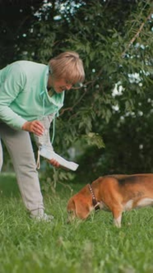 Mature Female Owner Teaching Her Dog Positive Behavior in Park Setting Ageing Woman Calmly Training