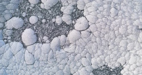 Frost Abstract Background Ice Texture White Gray