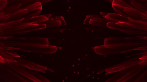 Abstract Red Particles Wave flow Hypnotic Seamless Looped Composition