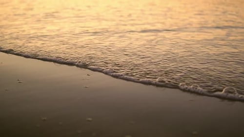 Sea waves with foam on wet sand of the shore, in beautiful evening light. Slow motion. Barbate, Ca