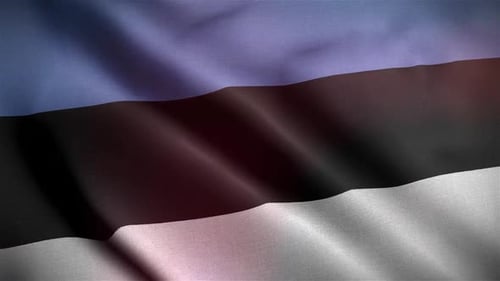 Realistic Estonian Flag Waving Background with Light Leaks
