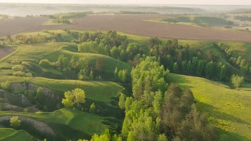 Park Hill Green View Gartenlandschaft Sommer Berge Pflanze