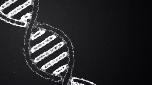 DNA Plexus Hintergrund Loop Dark
