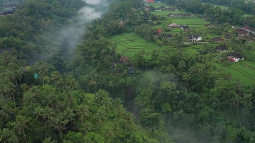 Tropical river valley with light clouds and countryside Bali buildings, aerial