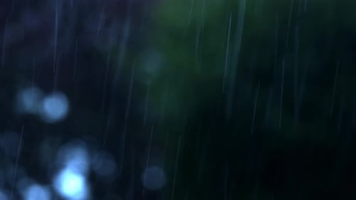 Falling Rain With Dark Nature Bokeh Background. Selective Focus Shot