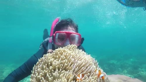 Woman Observes Clownfish and Sea Anemone Underwater