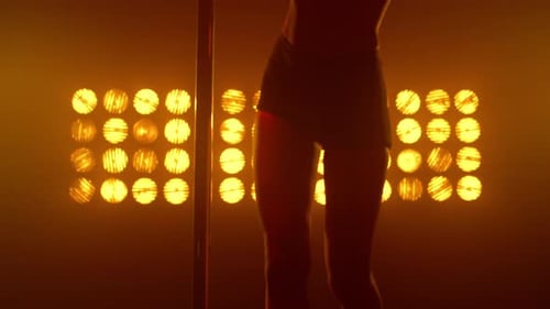 Body Pole Dancer realizando movimentos eróticos no palco de um clube de strip. Mulher sensual praticando pole dance
...