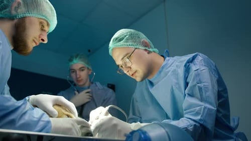Medical Team Performing Surgery in Brightly Lit Room