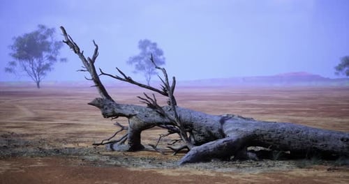 A Vast Dry Landscape Showcases a Fallen Tree with Twisted Branches