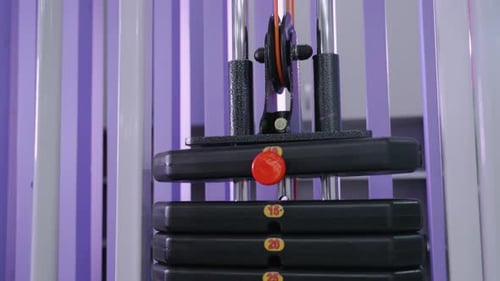 Weight Stack Dropping and Releasing on Resistance Machine with Labeled Plates