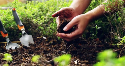 Some call it dirt, farmers call it potential