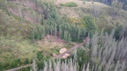 Aerial view of autumn countryside, traditional fall landscape in central Europe