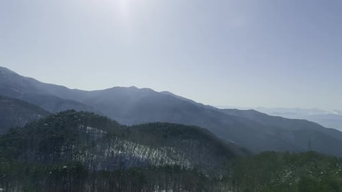 Aerial View of Ski Slope and Conifer Forest on Sunny Mountain