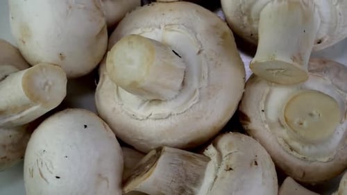 Whole Edible White Champignons Mushroom with Textured Caps Rotate Slowly on Turntable Top View