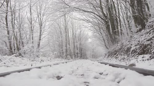 Snowy Train Tracks Through Winter Forest