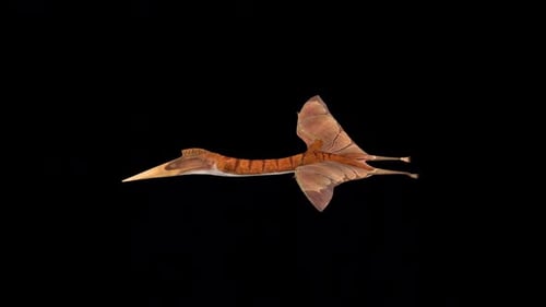 Quetzalcoatlus Glide