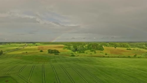 Storm clouds and rainbow above green agriculture fields, aerial view