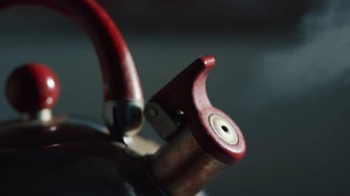 Close Up of Steaming Kettle in Kitchen