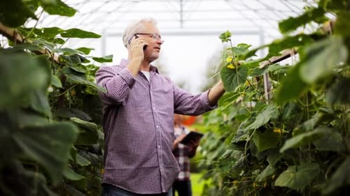 Man talking on phone in greenhouse with plants
